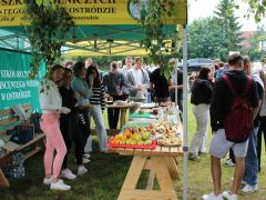 Dzien-Dziecka-2025-010