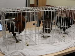 Dzien-otwarty-2025-025