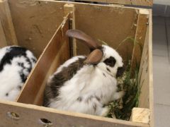 Dzien-otwarty-2025-027