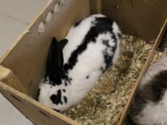 Dzien-otwarty-2025-028