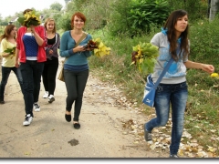 OLYMPUS DIGITAL CAMERA