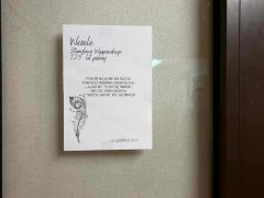 Witos-patriotycznie-27