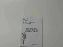 Witos-patriotycznie-30